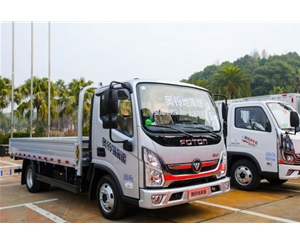 奥铃地(dì)库版(bǎn)