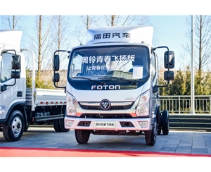 奥铃芳华飞腾版(bǎn)